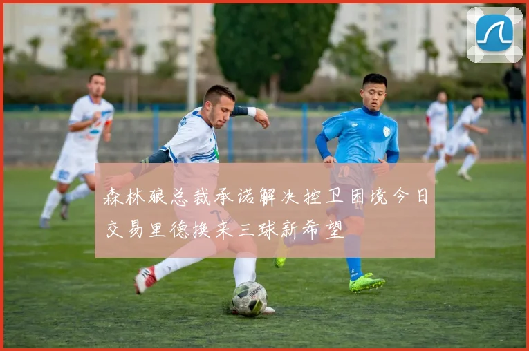 森林狼总裁承诺解决控卫困境今日交易里德换来三球新希望