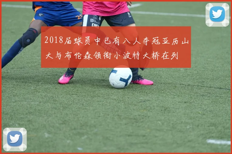 2018届球员中已有八人夺冠亚历山大与布伦森领衔小波特大桥在列