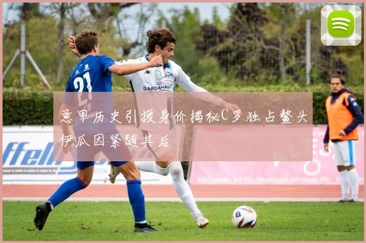 意甲历史引援身价揭秘C罗独占鳌头伊瓜因紧随其后